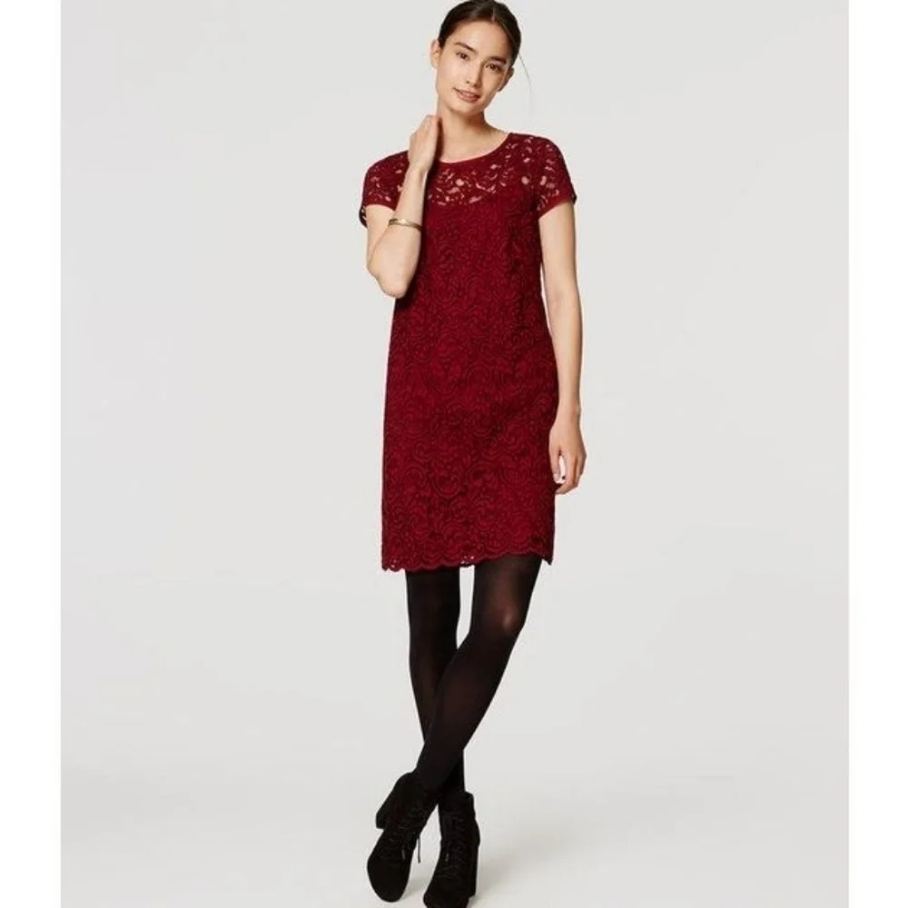Loft Burgundy Lace Shift Dress